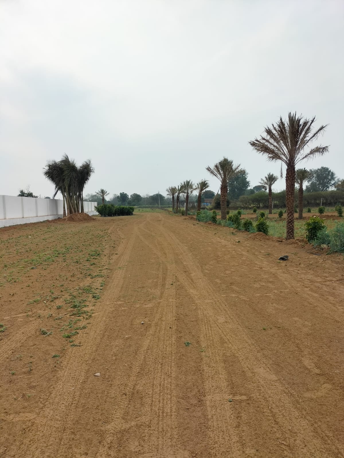 Real Legacy Riddhima Residency – Residential Plots Township in Rajasthan, Dausa — 3