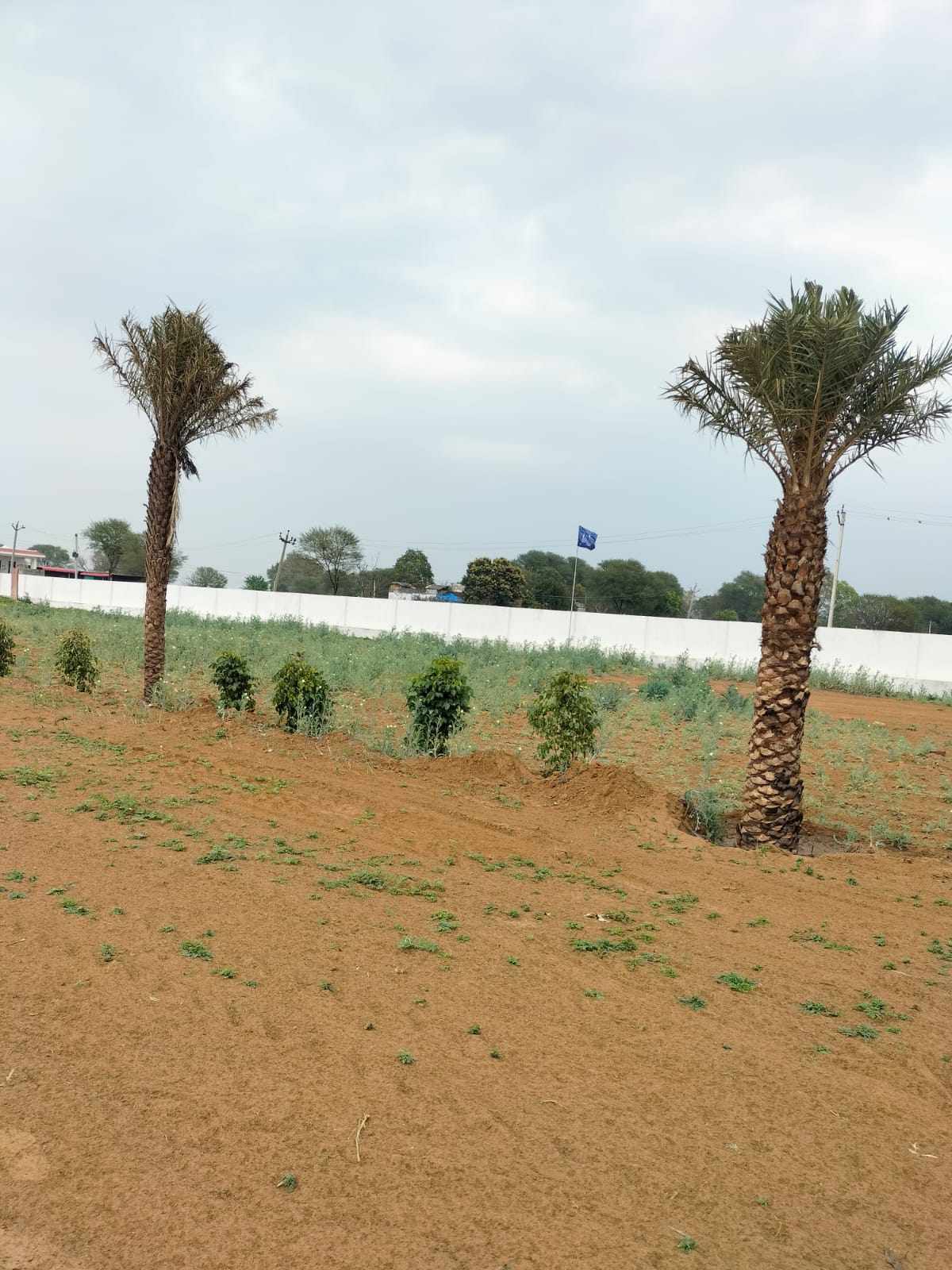 Real Legacy Riddhima Residency – Residential Plots Township in Rajasthan, Dausa — 2
